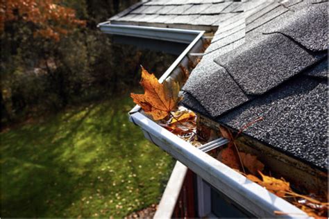 Guide To Clogged Gutters Understanding Why Theyre Dangerous