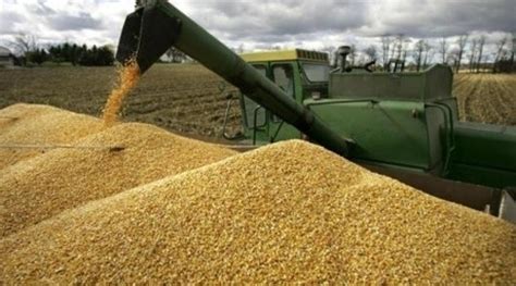 Kazakhstan Raises Grain Harvest Estimates 08 августа 2011 1453