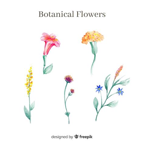 Free Vector Watercolor Botanical Flower Collection