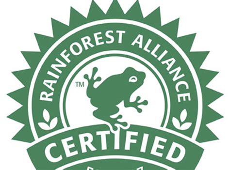 Tesco Makes Rainforest Alliance Certified Cocoa Pledge News