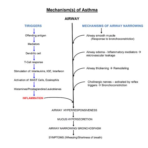 The pathophysiological stage of bronchial asthma is characterized by the development of bronchospasm, edema of the mucous membrane and infiltration of the bronchial wall by cellular elements, inflammation, hypersecretion of mucus. Asthma Nursing Care Plan & Management | RNpedia
