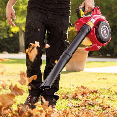 Honda Hhb25e 25cc 4 Stroke Leaf Blower