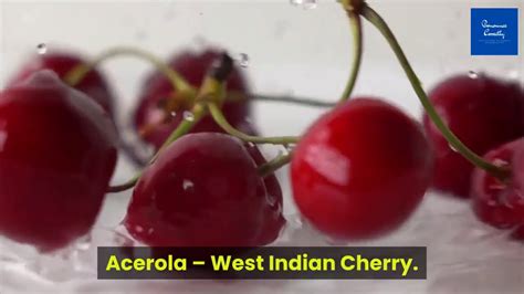 Correct Pronunciation Of Acerola West Indian Cherry Youtube