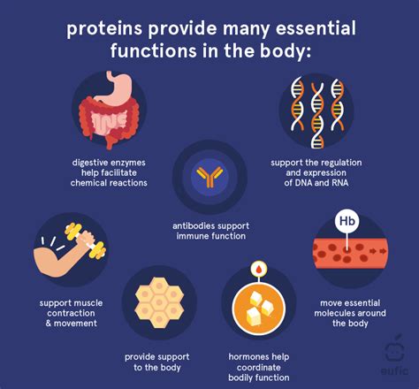 Protein Examples Biology