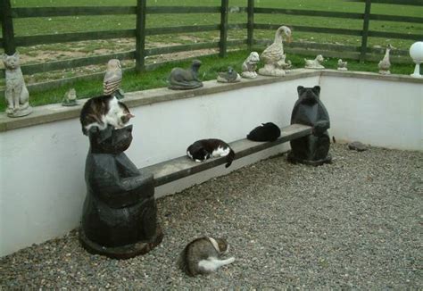 Isle Of Man Guide Mann Cat Sanctuary