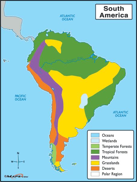 South America Biome Map South America Map Biomes South America