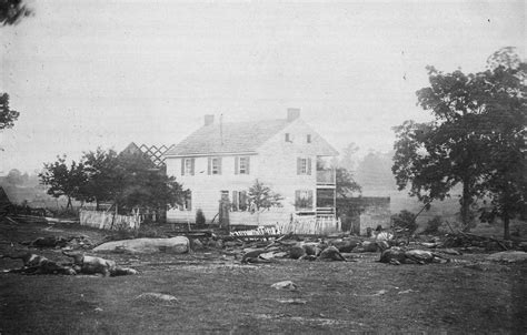 Dead Horses Surround The Damaged Trostle House Results Of The Battle