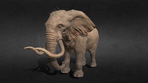 Elephant Animation Idle Download Free 3d Model By Gremorysaiyan
