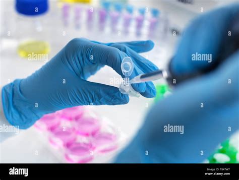Biotechnology Hi Res Stock Photography And Images Alamy