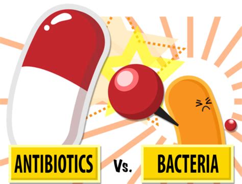 5 Bacterias Que Se Fortalecen Por El Uso De Antibiticos