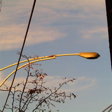 Chicagos Led Streetlights Prove Controversial Wbez