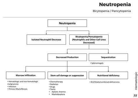 Causes Of Neutropenia With Pancytopenia Differential Grepmed