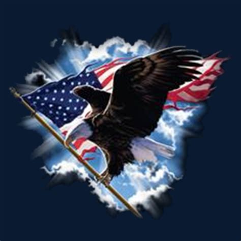 Eagle Holding American Flag American Patriotism Shop Adults Bald