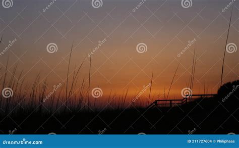 Beautiful Bright Orange Sunset With Reeds And Tall Grass On The Beach