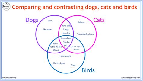 Problem Solving Venn Diagrams 3 Circles