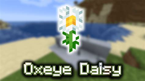 Oxeye Daisy Wiki Guide 9minecraftnet