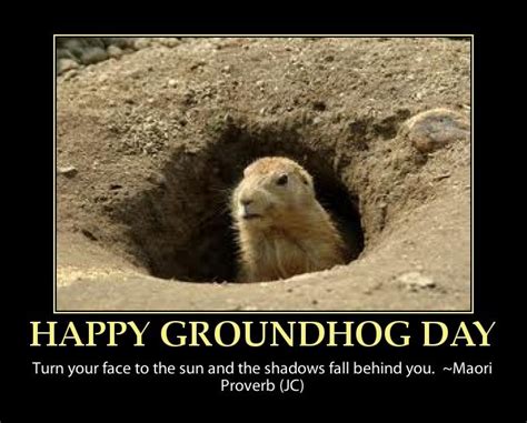 Happy Groundhog Day Funny Quote Groundhog Day Pinterest It Is Groundhog Day And Happy