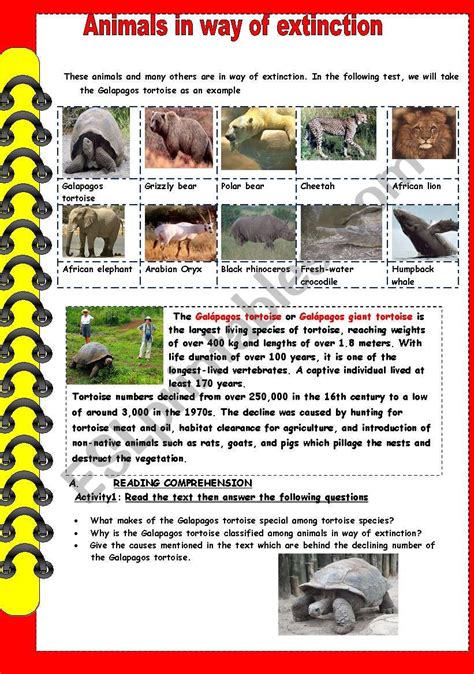 Animals In Way Of Extinction Esl Worksheet By Asmaesperance
