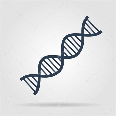 Dna Vector Image At Collection Of Dna Vector Image