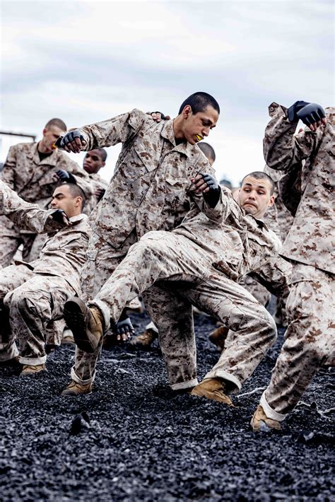 Us Marine Corps Recruits With Alpha Company 1st Recruit Training