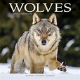 Wolves Calendar, Animal Calendars | Pet Prints Inc