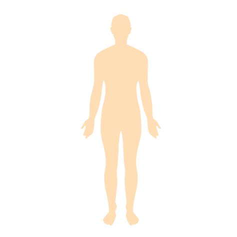 La perpetuación de la especie humana en evolución está asegurada por la presencia de este impulso racial de apareamiento, un ímpetu que se llama vagamente atracción sexual. Cuerpo humano, hombre, silueta - Descargar PNG/SVG transparente