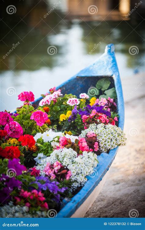 Boat With Flowers Stock Photo Image Of Flowers Color 122378132