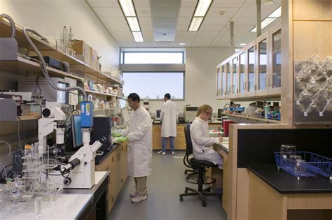 Filebiomedical Engineering Laboratory Wikimedia Commons