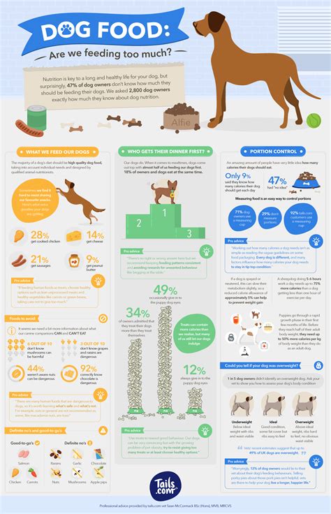 There's no straightforward answer as it depends on the breed of your dog, but here's how it is therefore compulsory for dog parents to learn the puppy feeding timeline so they can make the switch at the right time. Are You Feeding Your Dog Harmful Food? | FitBark