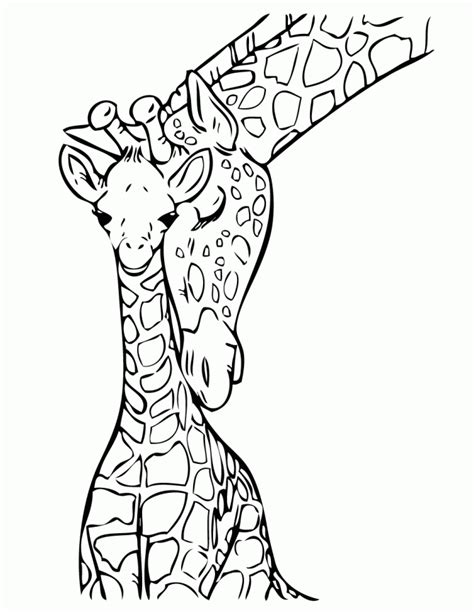 Read more information about the giraffe ». Cute Coloring Pages Of Giraffes - Coloring Home