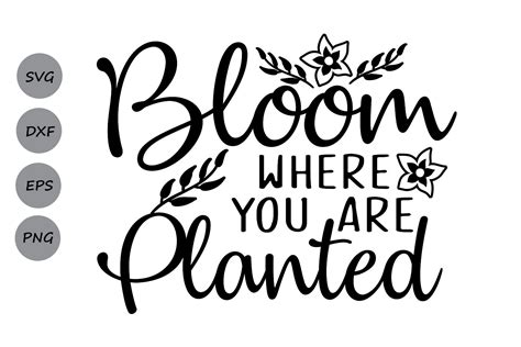 Bloom where you are planted SVG. (87781) | Cut Files | Design Bundles