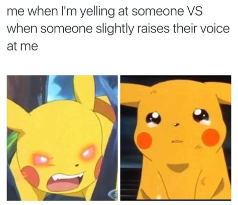 The Best Pikachu Memes Memedroid