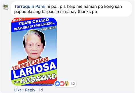 Look Barangay Poll Bets Inspire Netizens With Campaign Posters Made