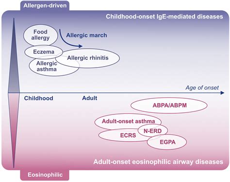 Adultonset Eosinophilic Airway Diseases Asano 2020 Allergy