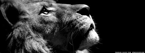 Animals Facebook Covers Facebook Cover
