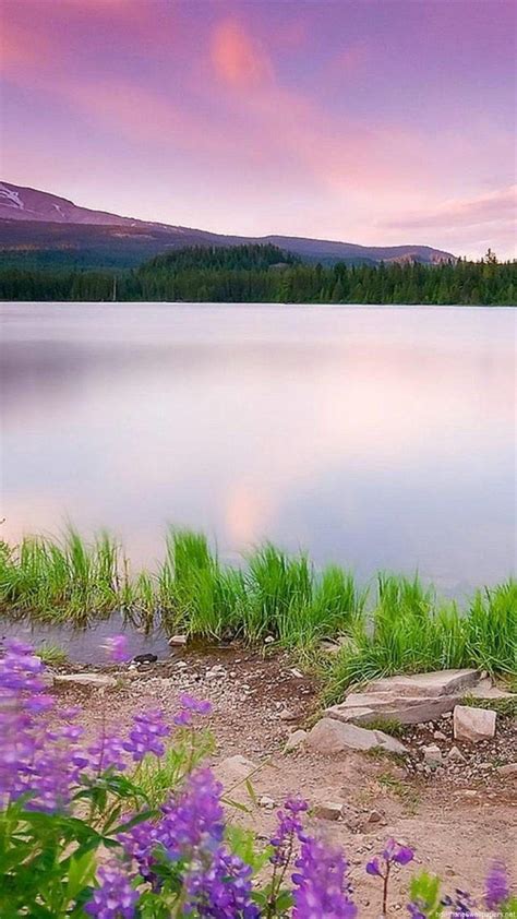 Beautiful Scenery Iphone Wallpapers Top Free Beautiful Scenery Iphone