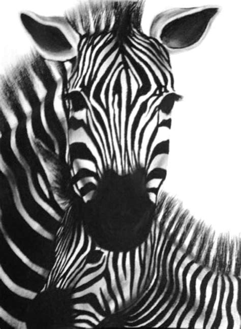 Zebra Charcoal Print Zebra African Animals Baby Zebra