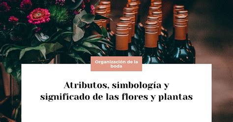 Atributos Simbolog A Y Significado De Las Flores Y Plantas Publiboda