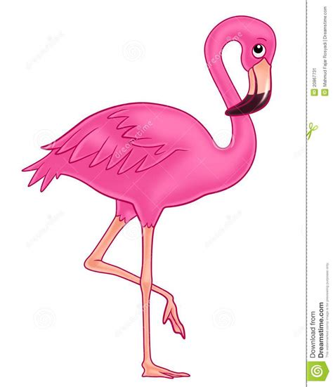Flamingo Stock Illustration Image Of Birds Pretty