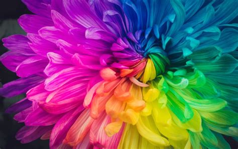 Colors Of The Rainbow Theme For Windows 10 Free Wallpaper Themes