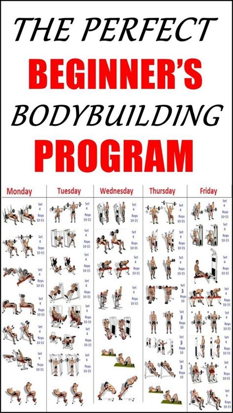The Perfect Beginner S Bodybuilding Program Poster Is Shown In Red And