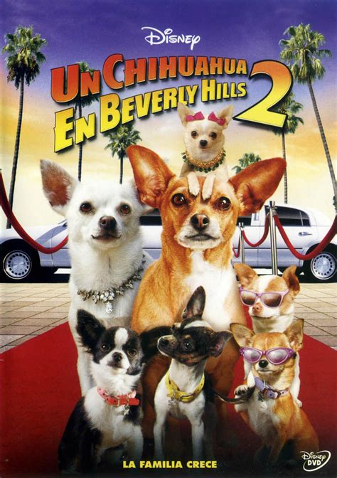 Una Chihuahua De Beverly Hills 2 Doblaje Wiki Fandom Powered By Wikia
