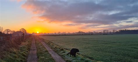 Nothing Like A Brisk Morning Walk In The English Countryside R