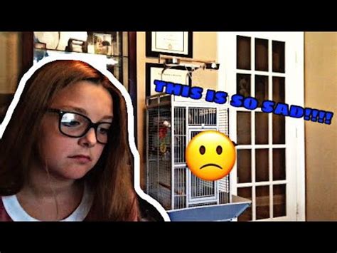 Reaction To Most The Shocking Second A Day Pt Youtube