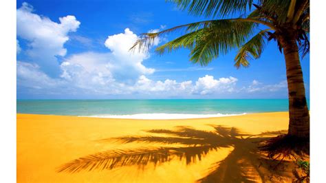 Beach Wallpapers Photos And Desktop Backgrounds Up To 8k 7680x4320