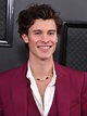 Camila Cabello and Shawn Mendes seen holding hands at Grammys after ...