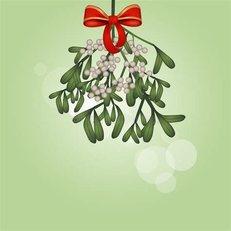 Hanging Mistletoe Stock Vector Illustration Of Mistletoe 17088543
