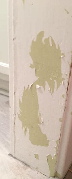 Everything You Need To Know About Peeling Paint 518 Painters