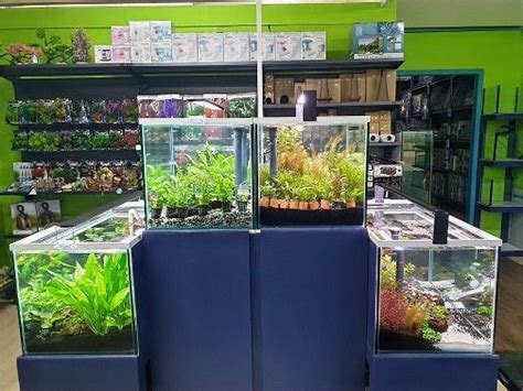 Aquarium Hut Fish Supplies Australia Aquarium Supplies Melbourne