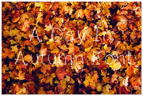 20 Best Autumn And Fall Fonts 2018 Templatefor